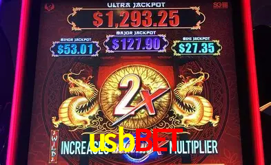 Live Casino usbbet